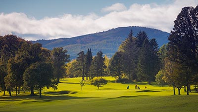 GOLF